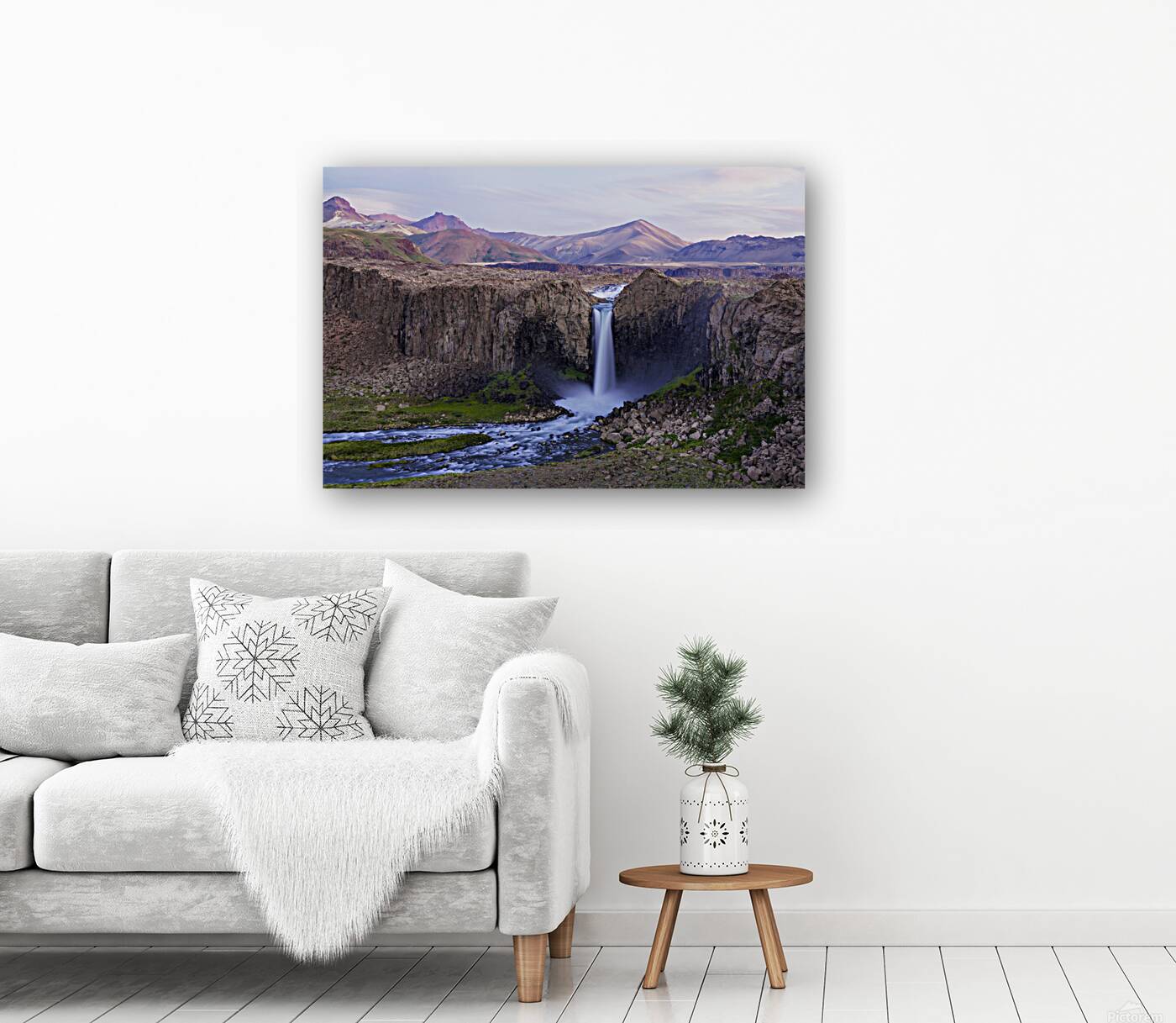 Condores Valley Reproduction