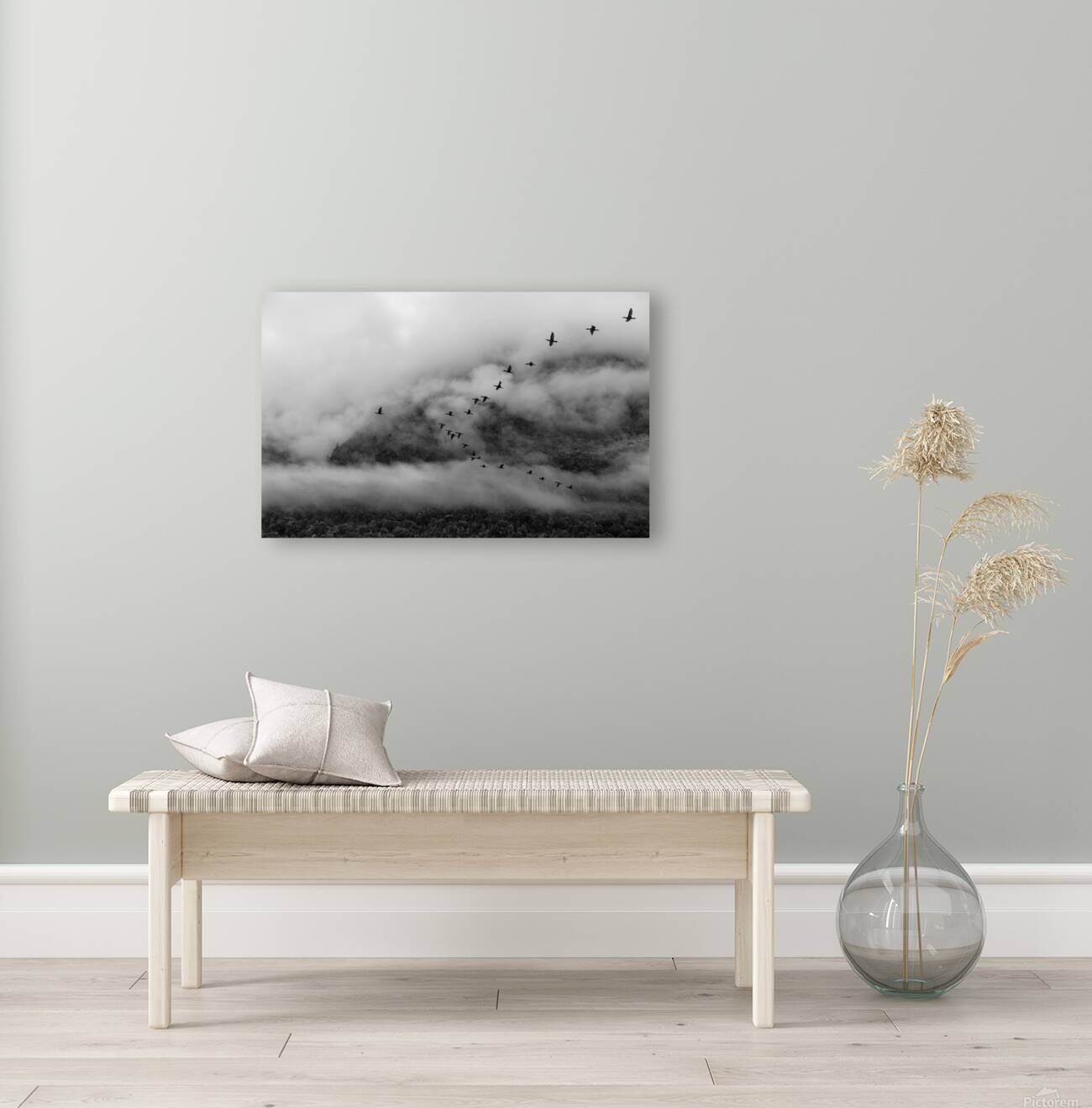 Austral Reproduction