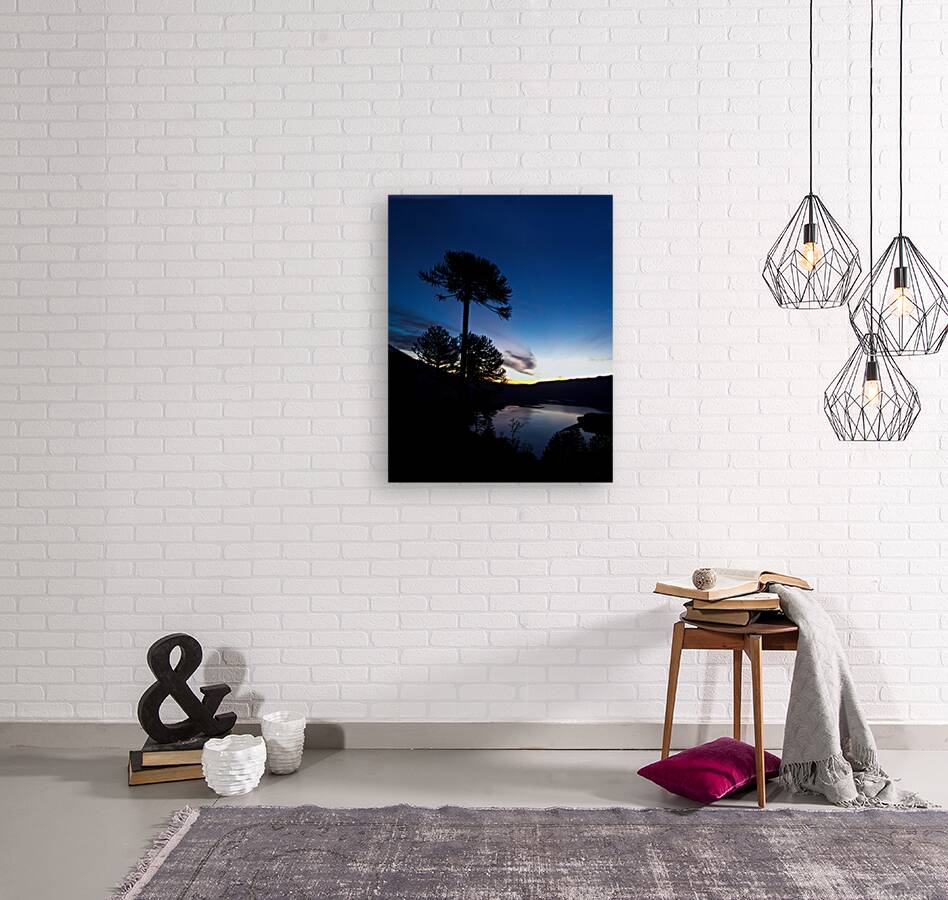 Conguillio Reproduction