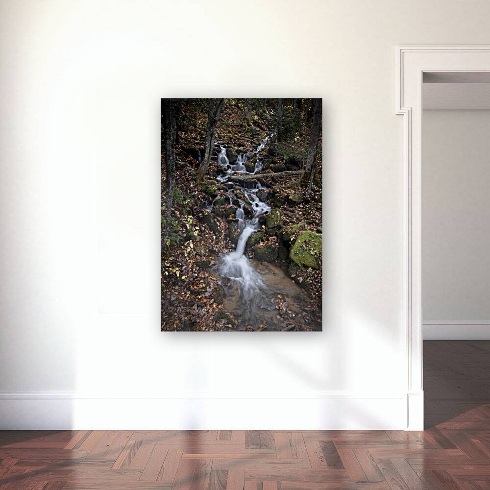 Mountain Waterfall Cascade in the Great Smoky Mountains National Park Reproduction
