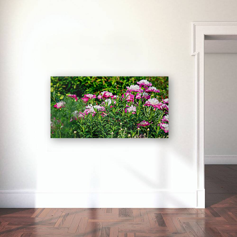 Peonies are Always in Style Reproduction