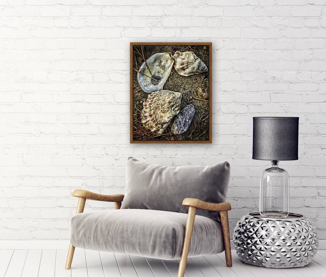 A Shoreline Find Reproduction