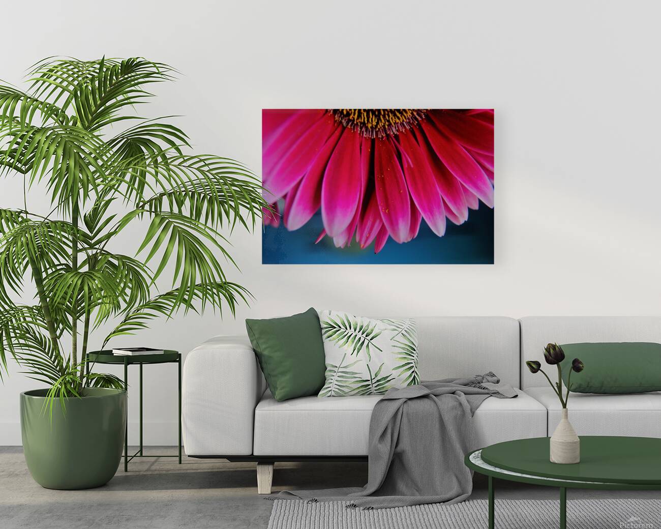 Pink Lady Reproduction