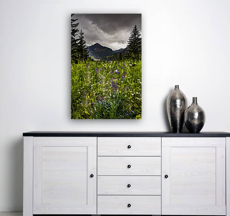 Dolomite Mountain Wildflowers in Summer Reproduction