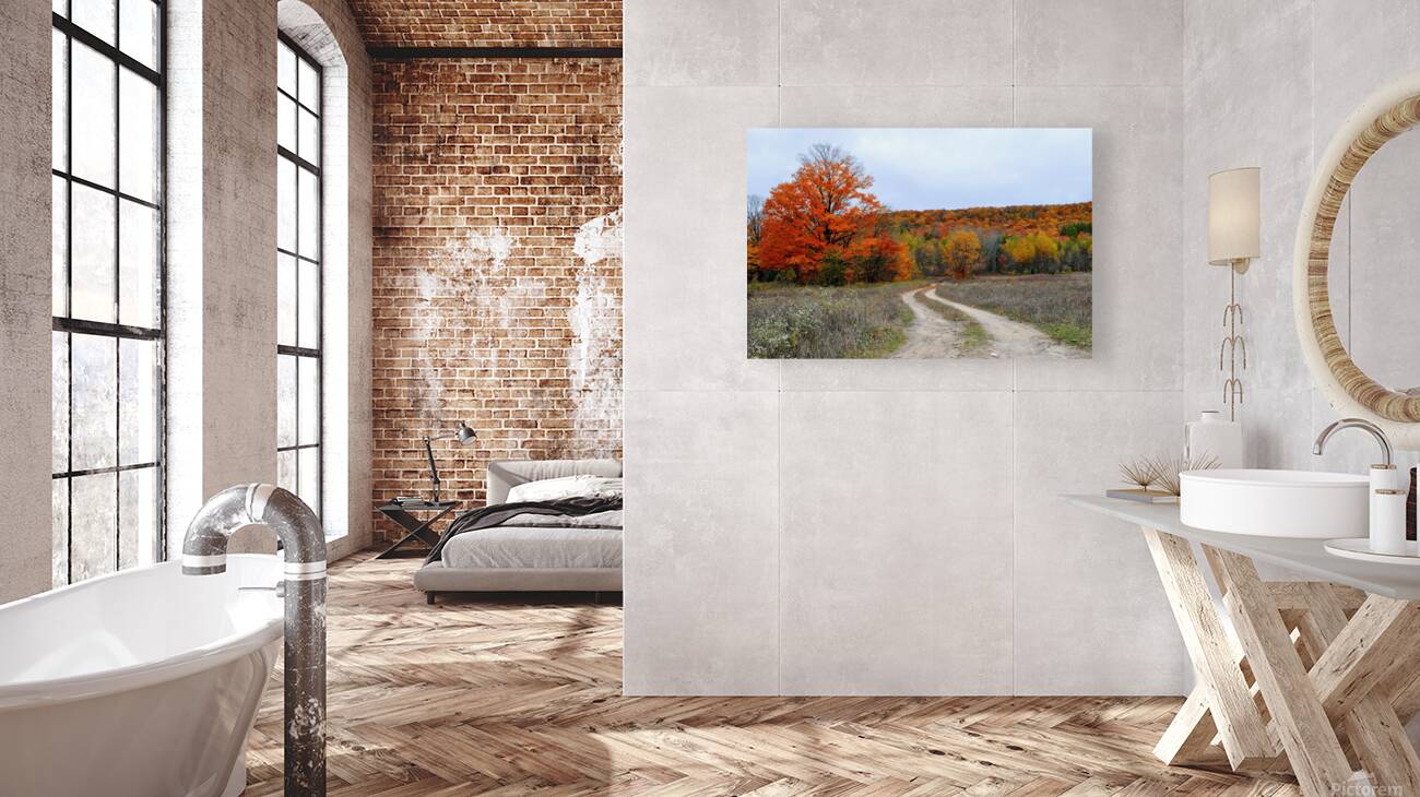 Autumn Road Reproduction