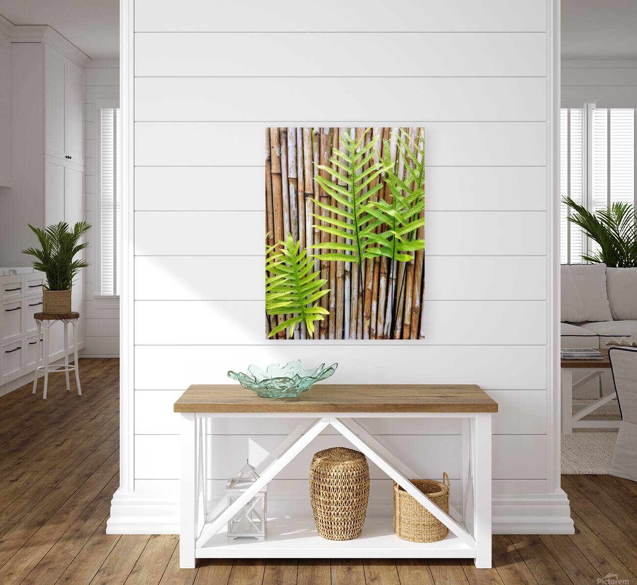 Hawaiian Fern Reproduction