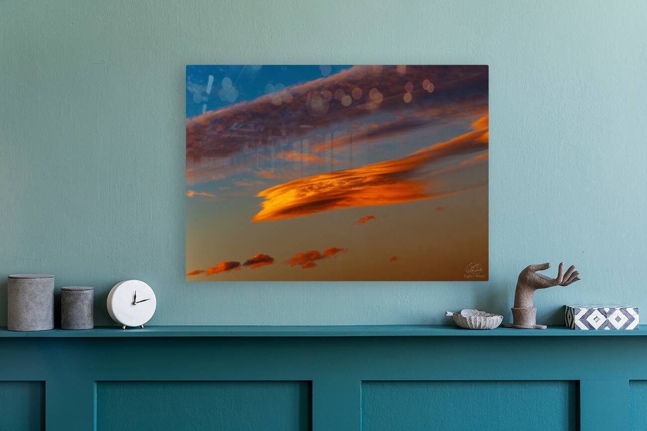 Great Orange Whale Reproduction