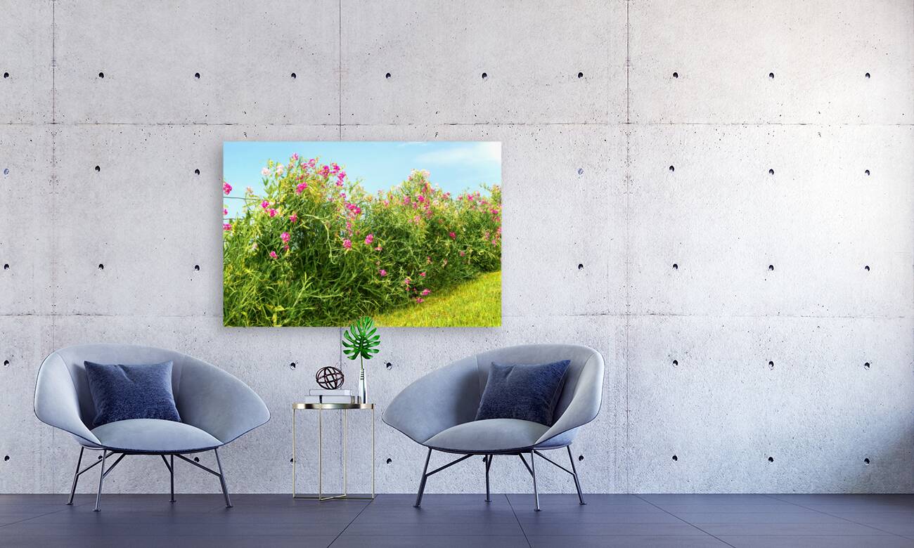 Sweetpeas on a Wire Fence Reproduction