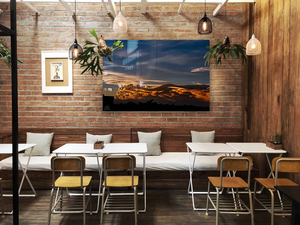 Terrible Beauty Reproduction