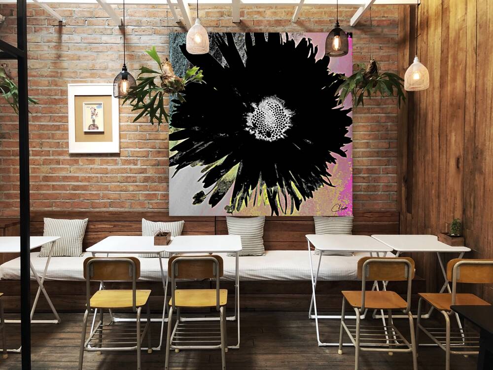 Black Daisy White Centre on a Coloured Abstract Background Reproduction