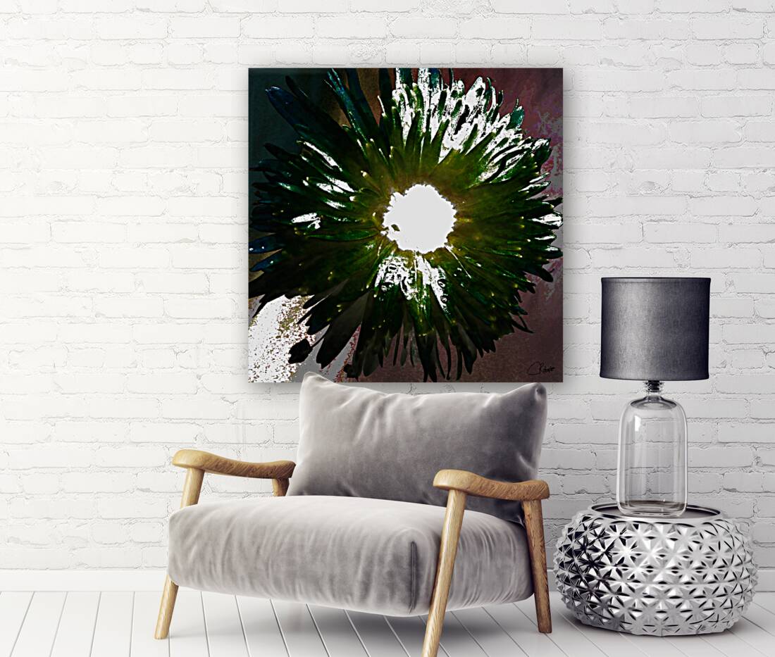 Daisy Light Centre on Darker Abstract Background Reproduction