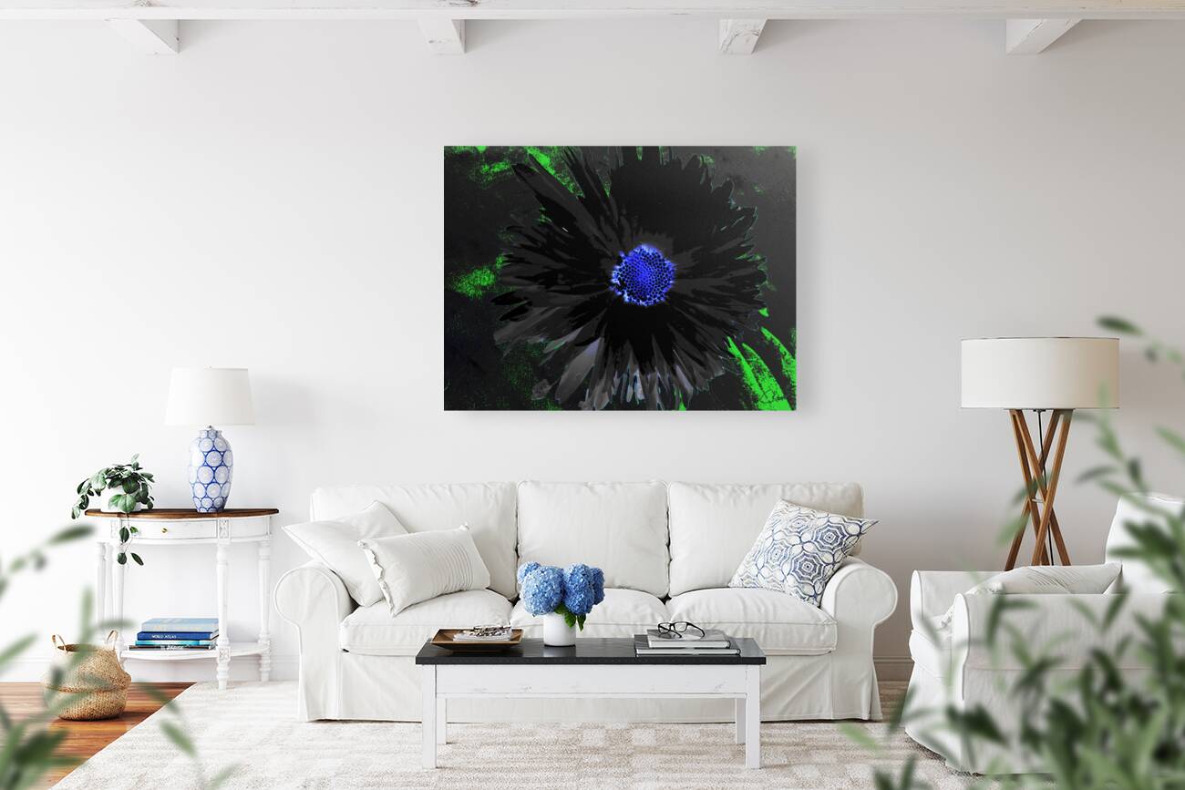  Abstract Dark Double Daisy Flower on a Dark Abstract Background Reproduction