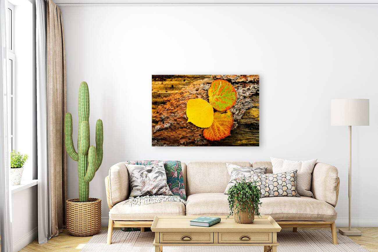 Aspen Leaves On Pine Bark Reproduction