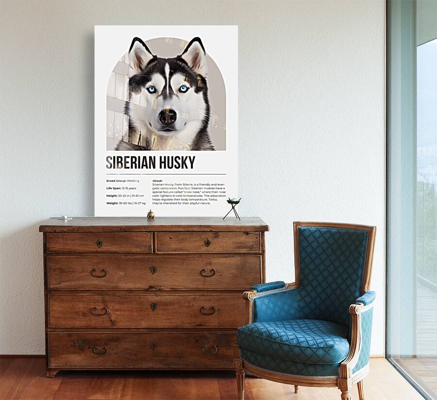 Siberian Husky Informative Poster Reproduction