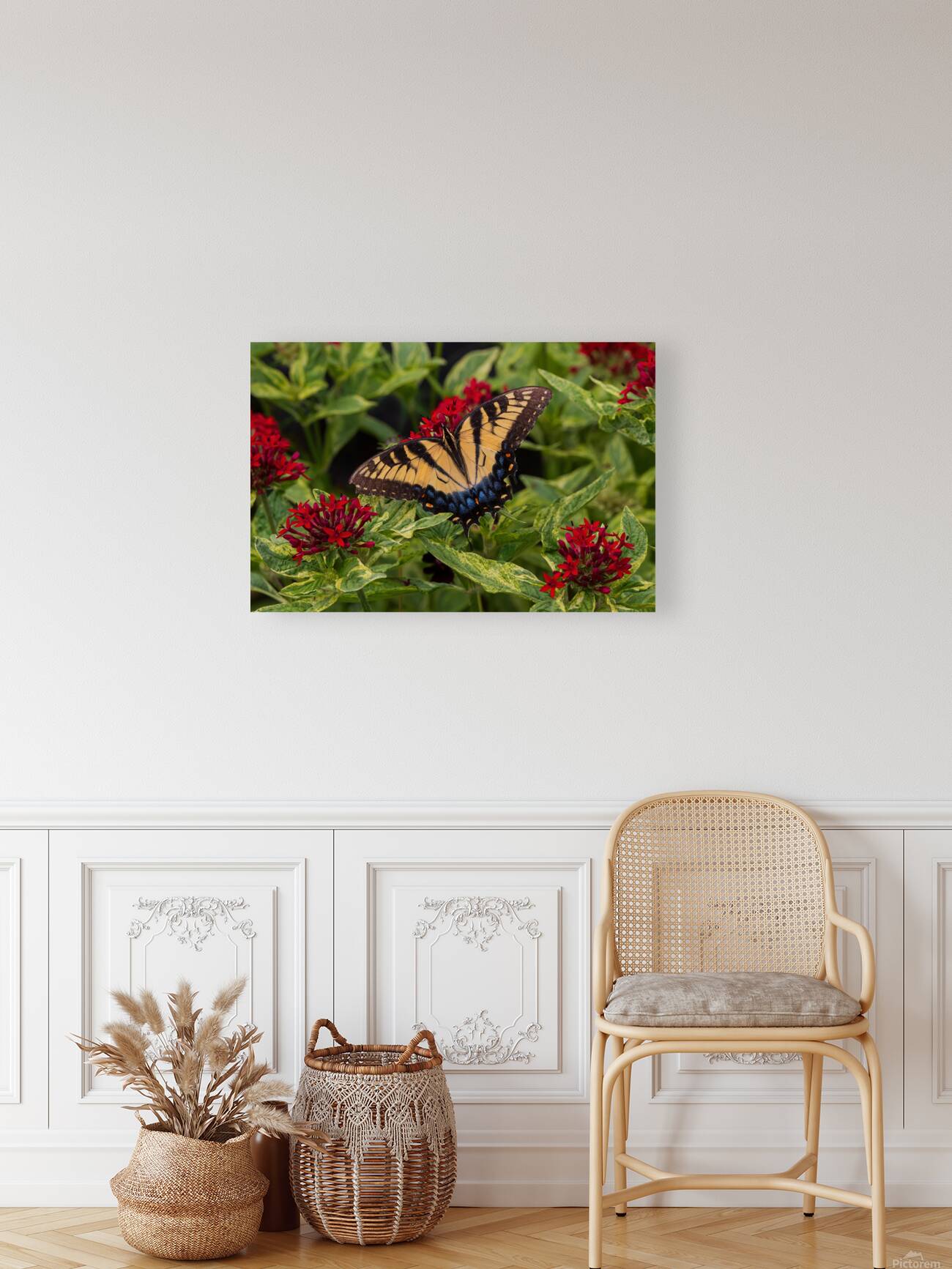 Eastern Tiger Swallowtail - Crimson Pentas Delight Reproduction