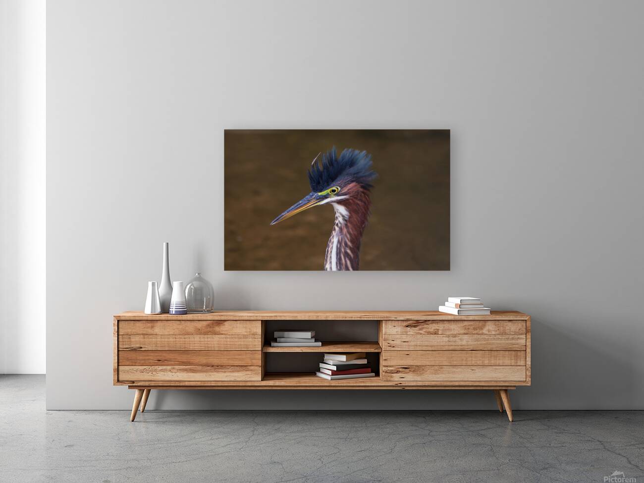 Green Heron - Flushed and Fabulous Reproduction