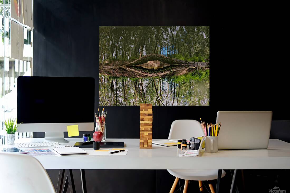 Eye Of Gaia Reproduction