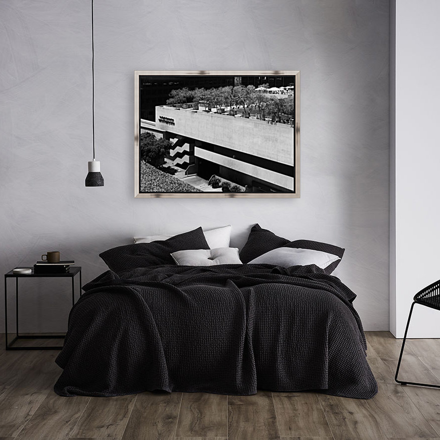 BONNAVENTURE V Reproduction