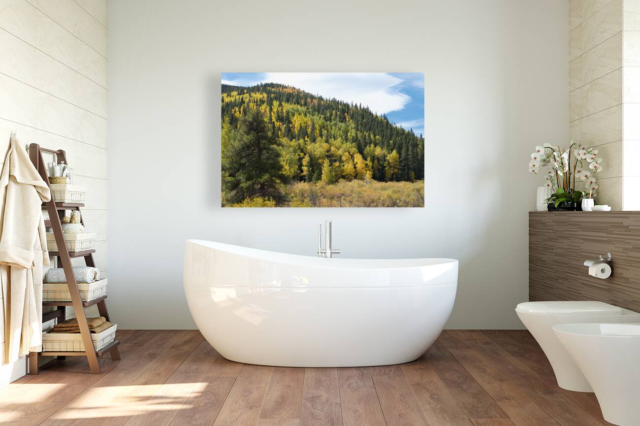 Fall Colors 3 Reproduction