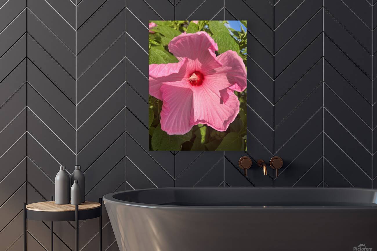 Pretty in pink Reproduction