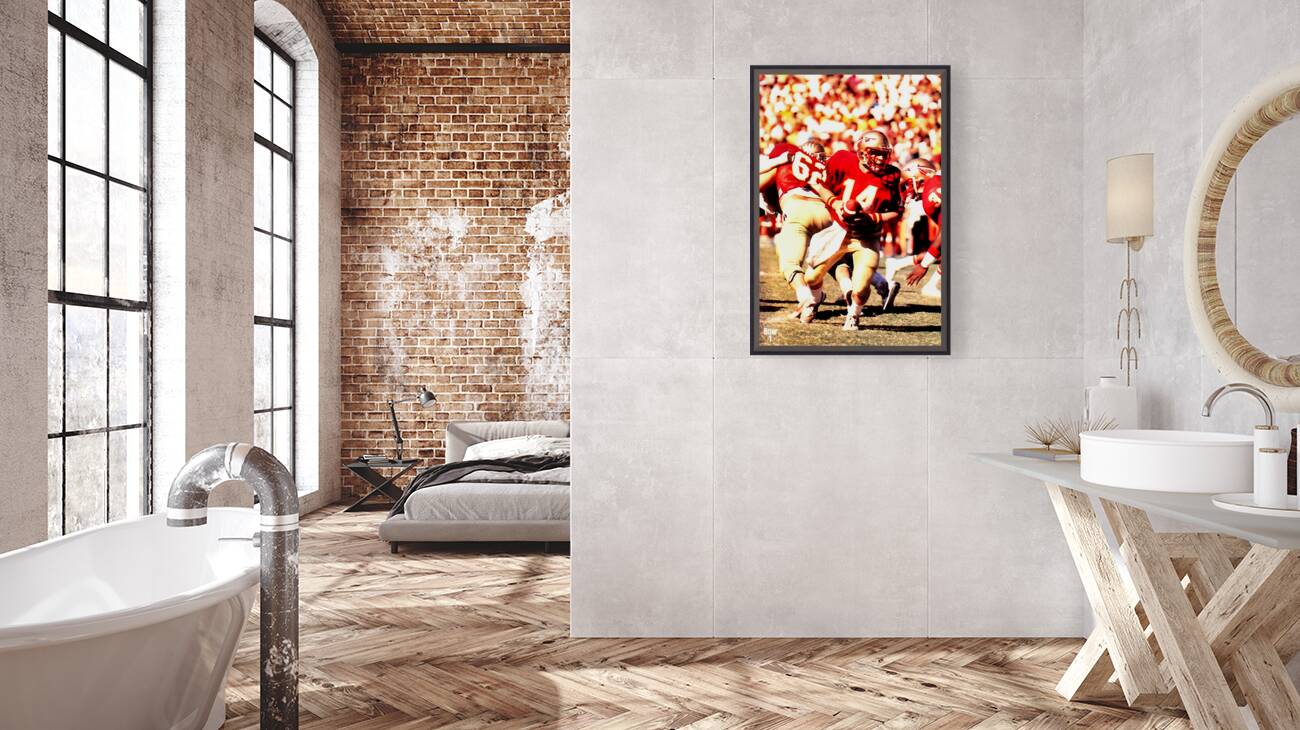 Danny McManus Florida State Art Reproduction