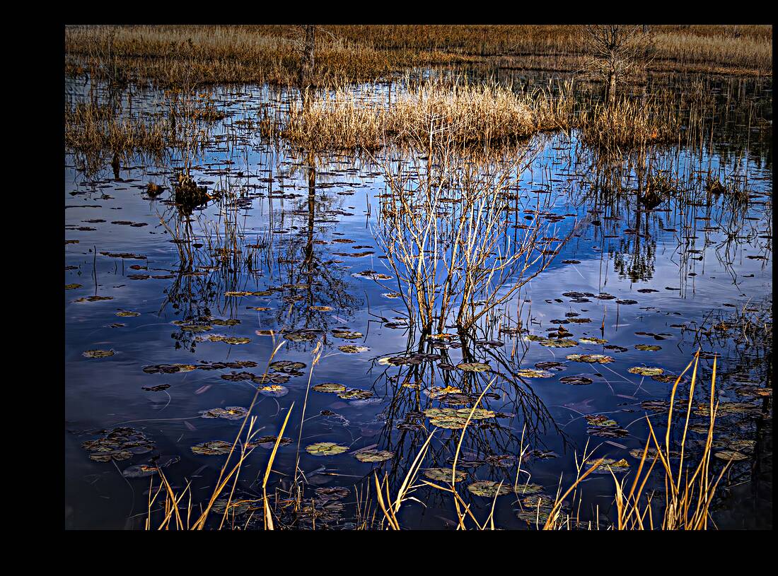 Low Country Marsh Sky Reflections Reproduction