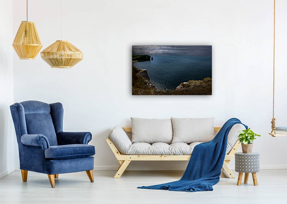 Etretat Cliffside Wildflowers Reproduction