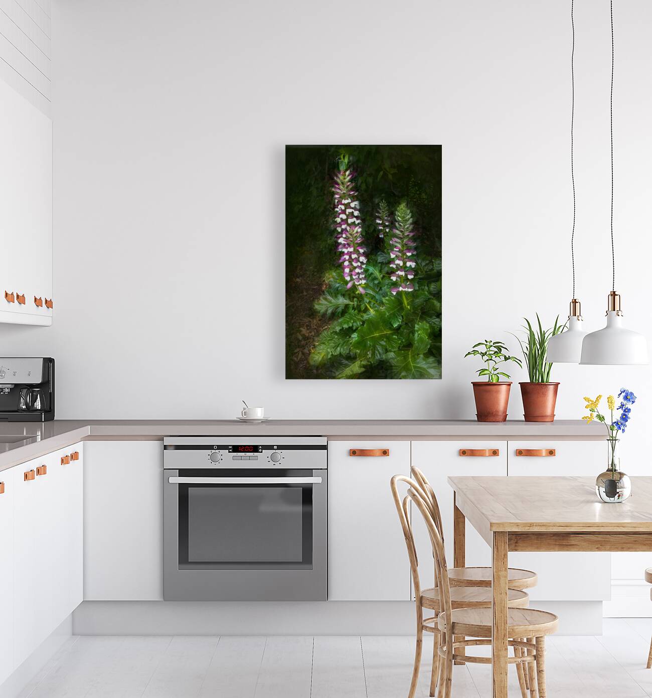 Bear Breeches Acanthus Spinosus Reproduction