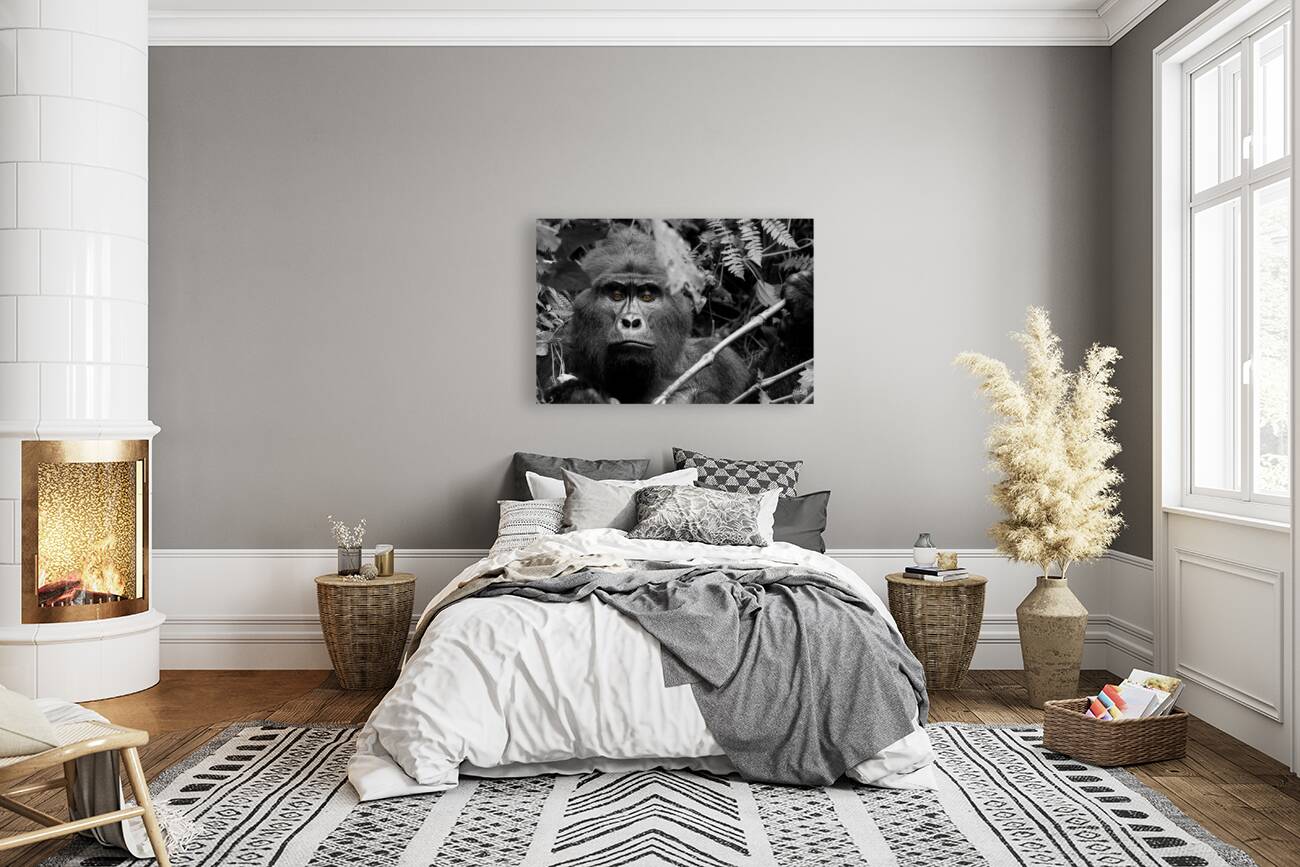 Bahati The Great Reproduction