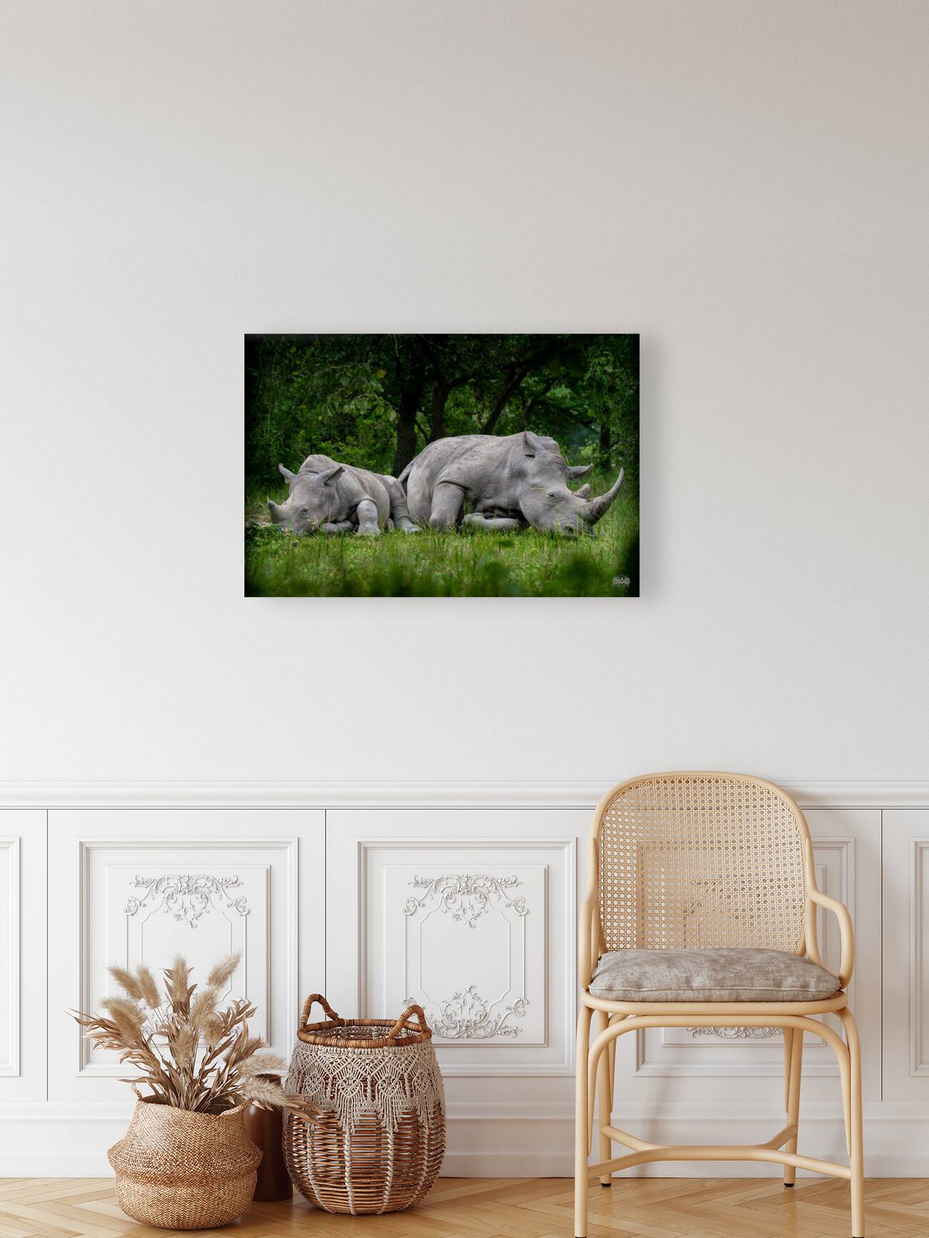 African Siesta Reproduction