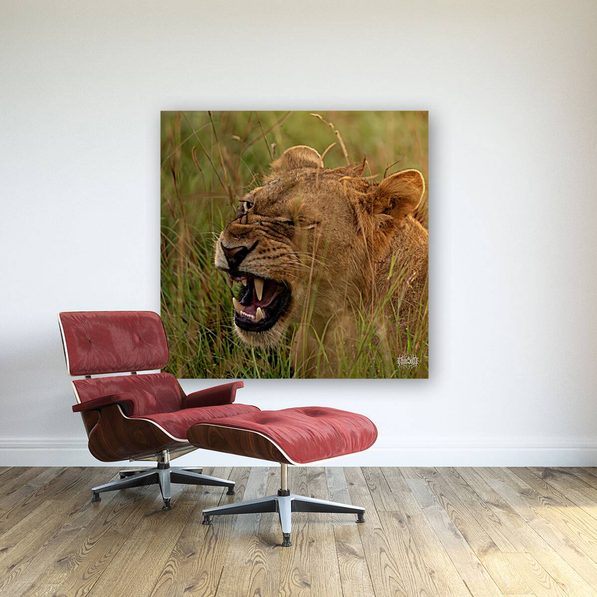 Lion Mode Reproduction