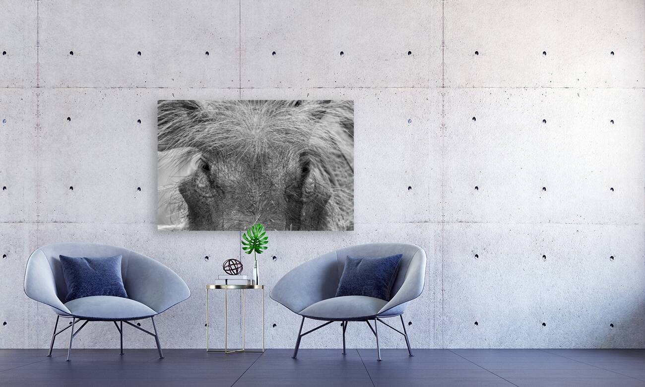 Im Sexy and I Know It Reproduction