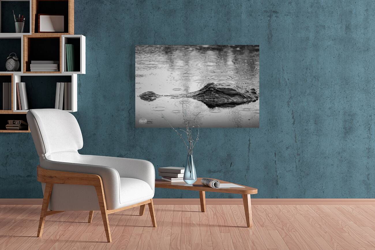 Whos the Real Villian Reproduction