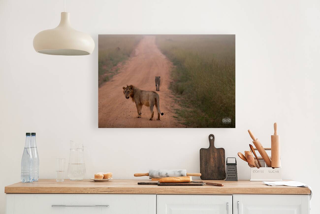 Stray Cat Strut Reproduction