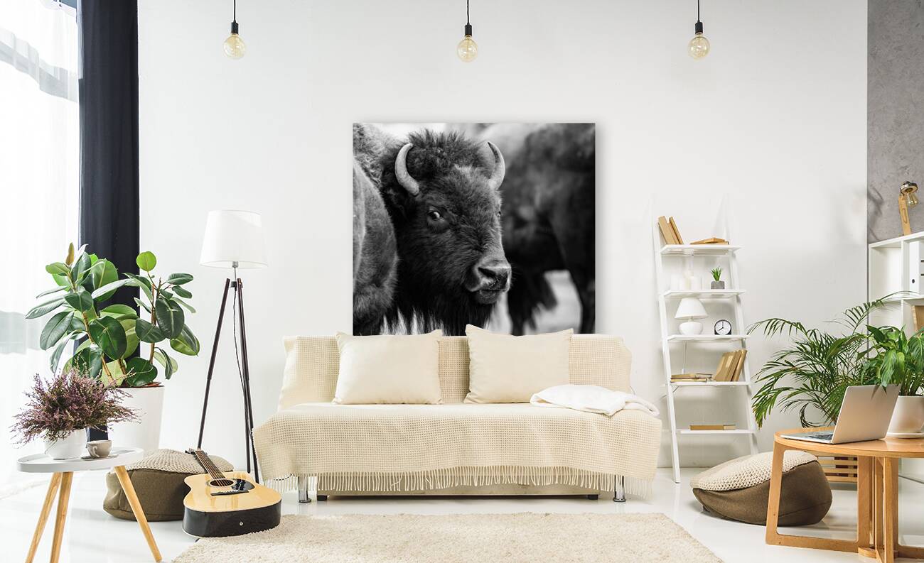 Look Back At It Reproduction