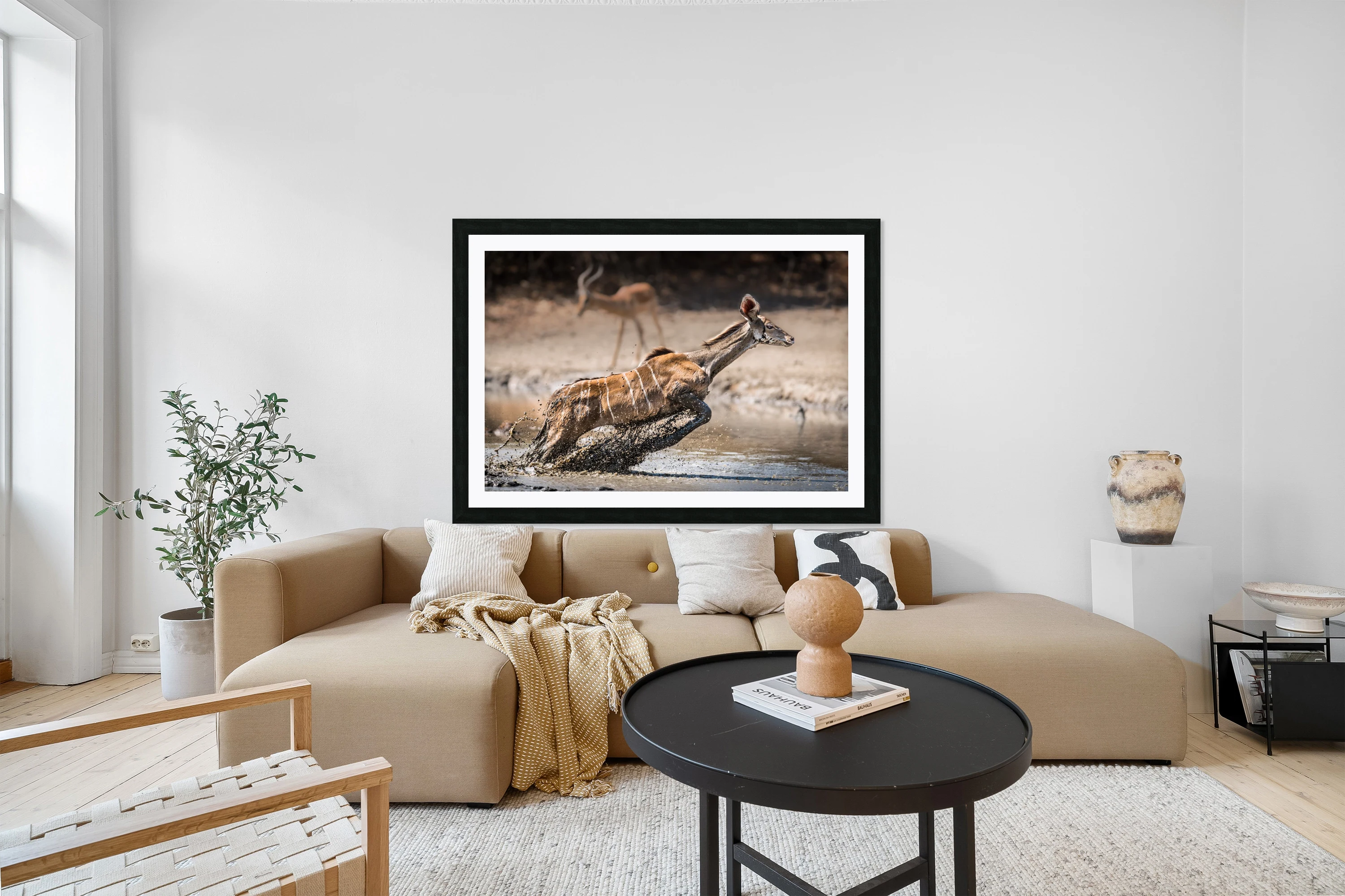 Kudu jump