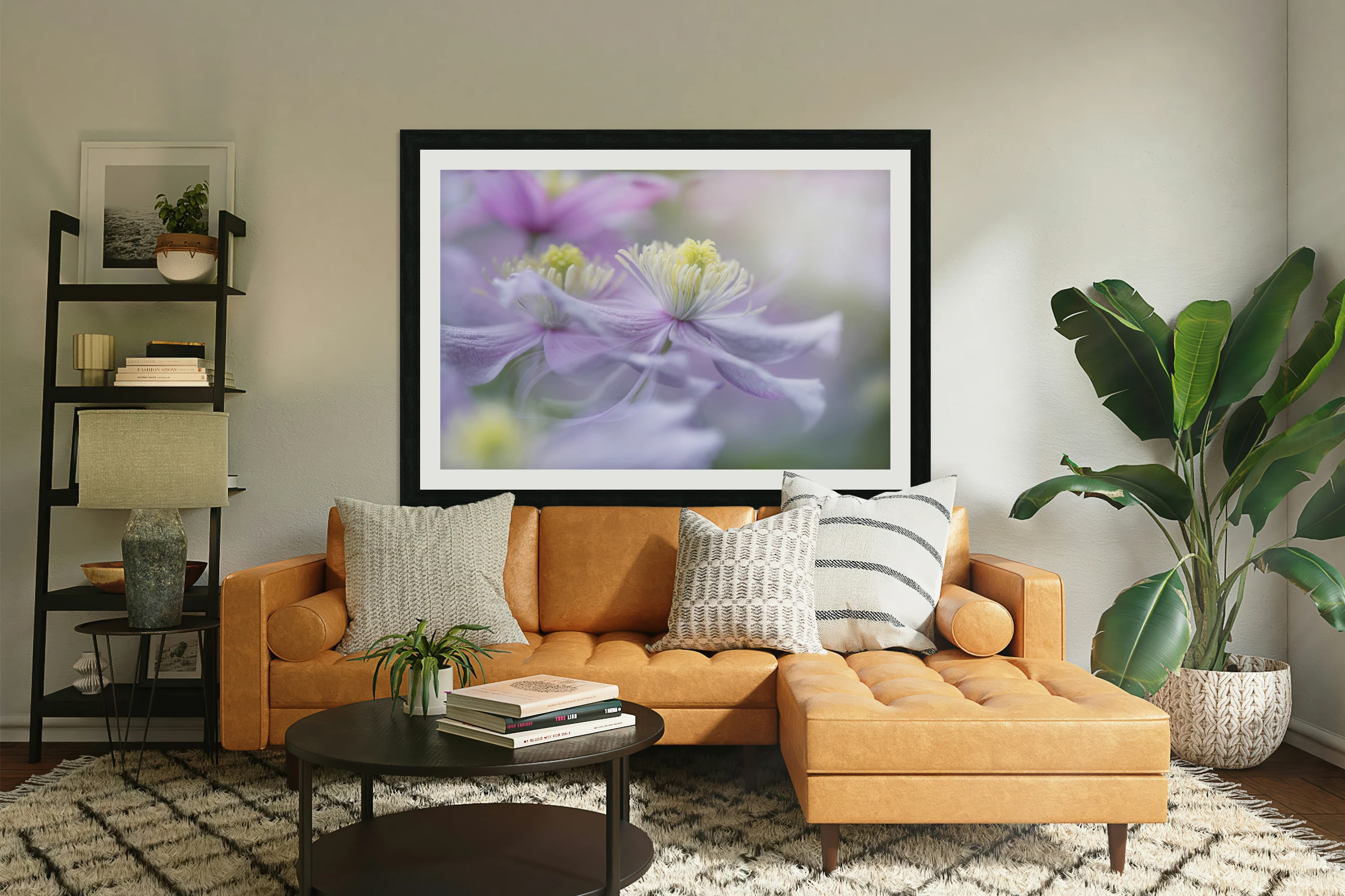Clematis 'Mayleen'