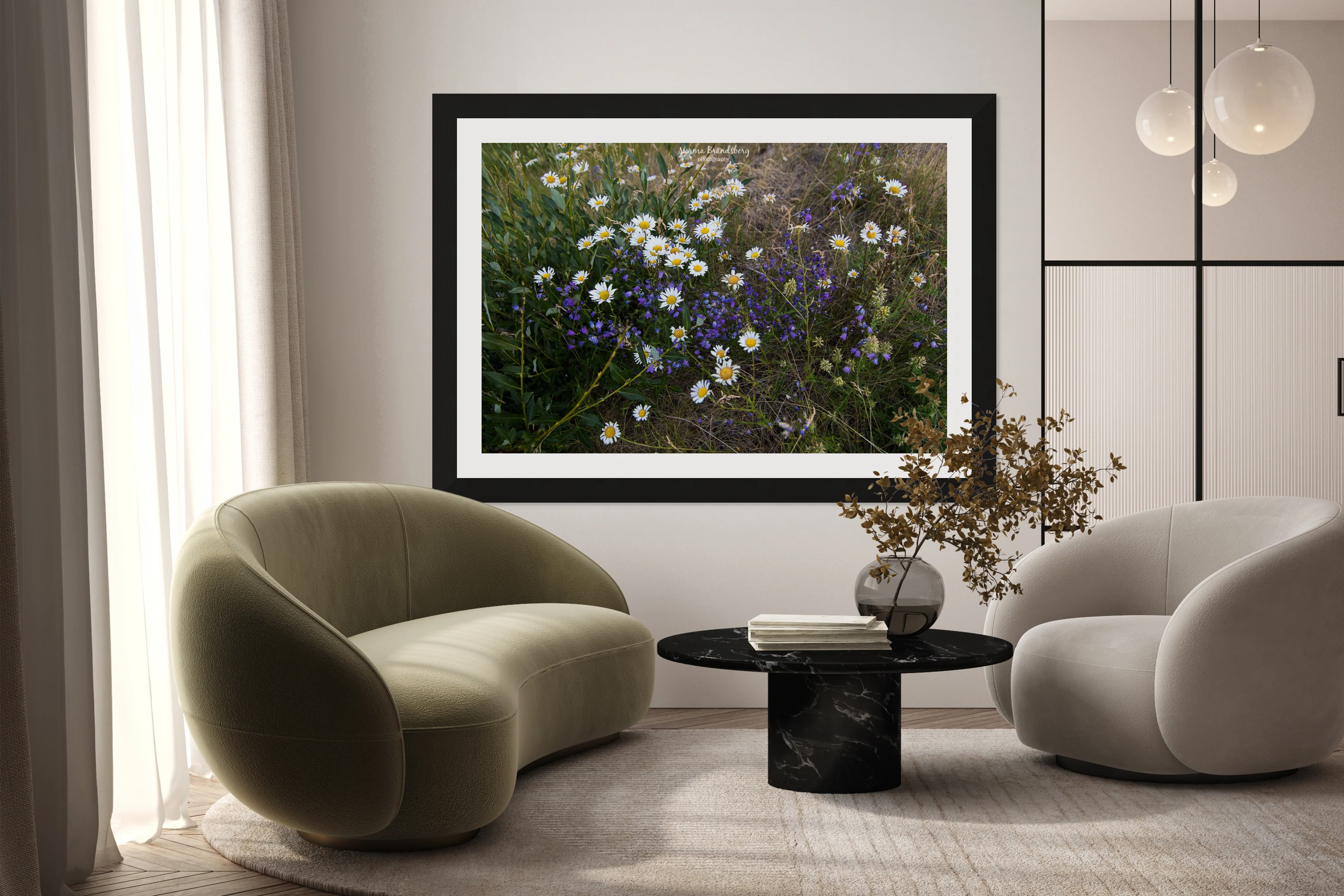 Mountain Daisy Explosions