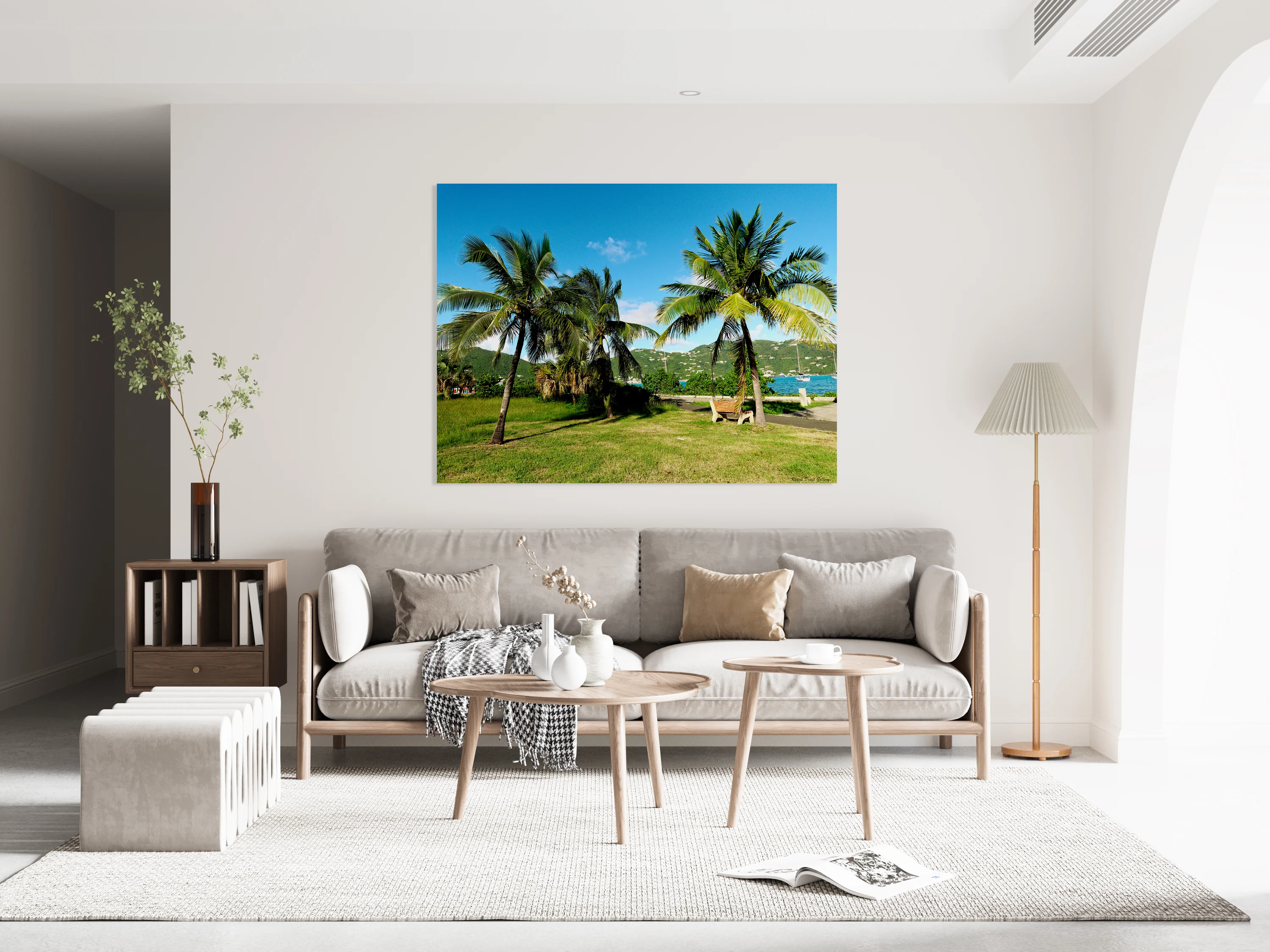 Coconut Dreams