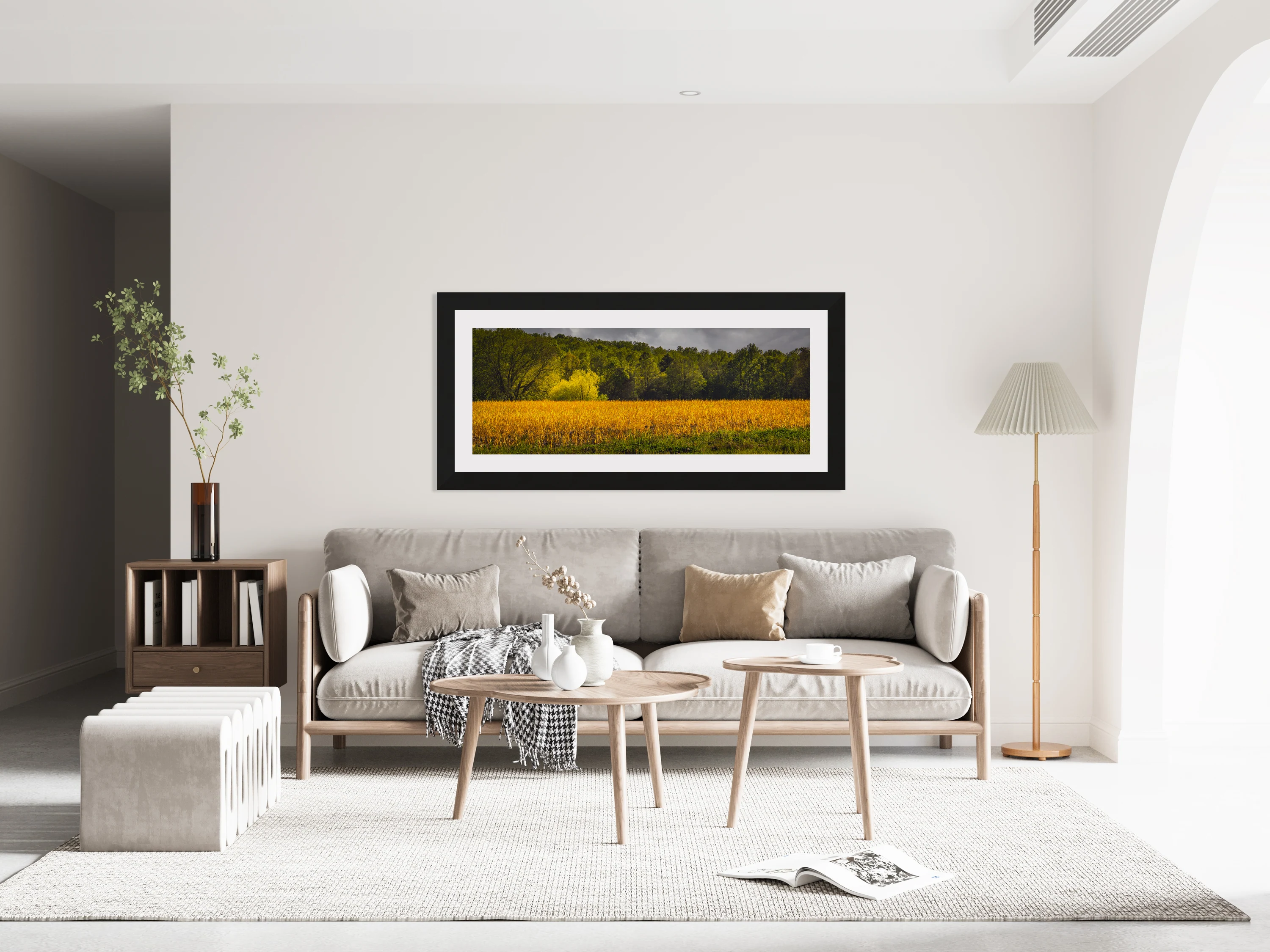Farm Fields in Spring