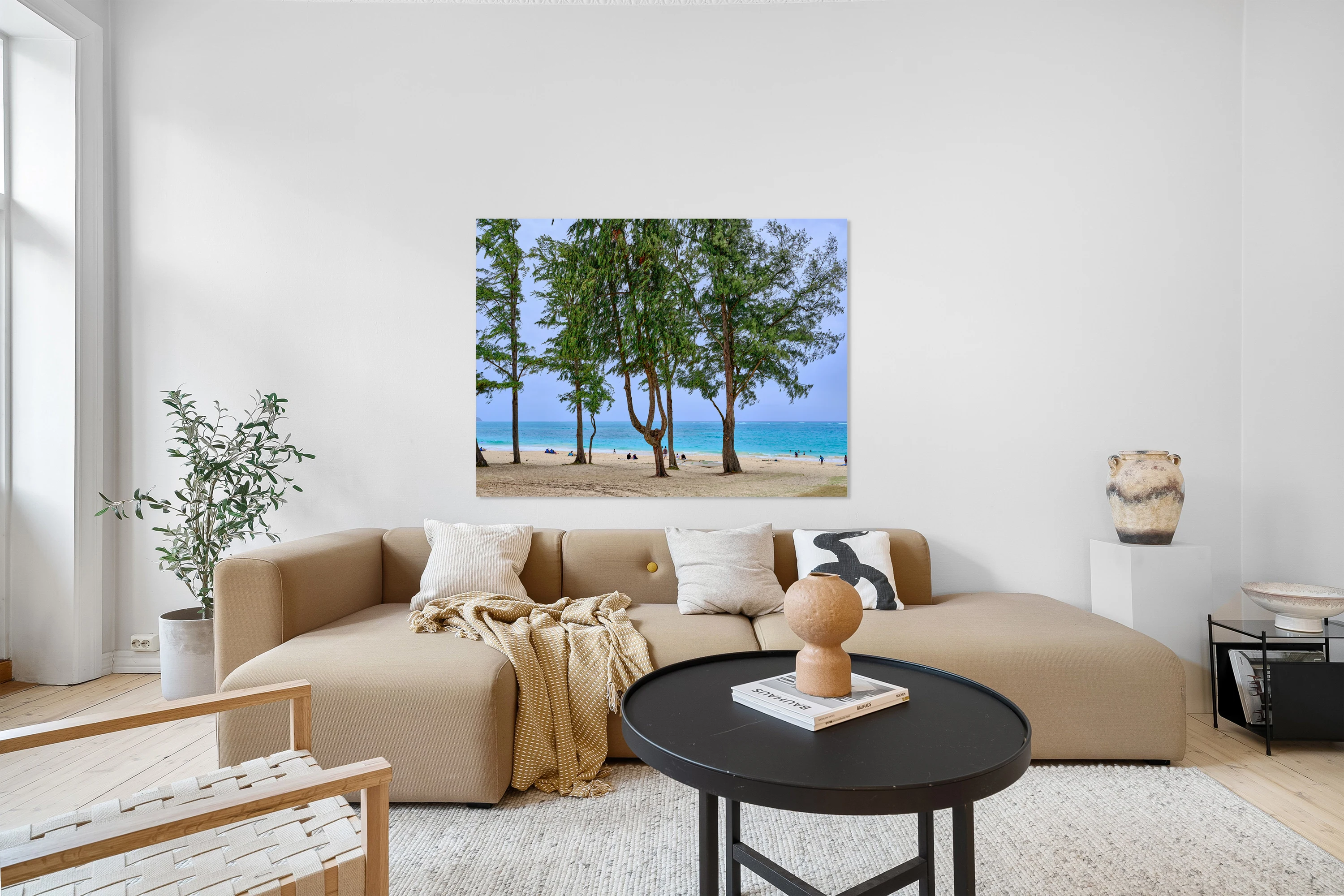 Hawaii Trees 2
