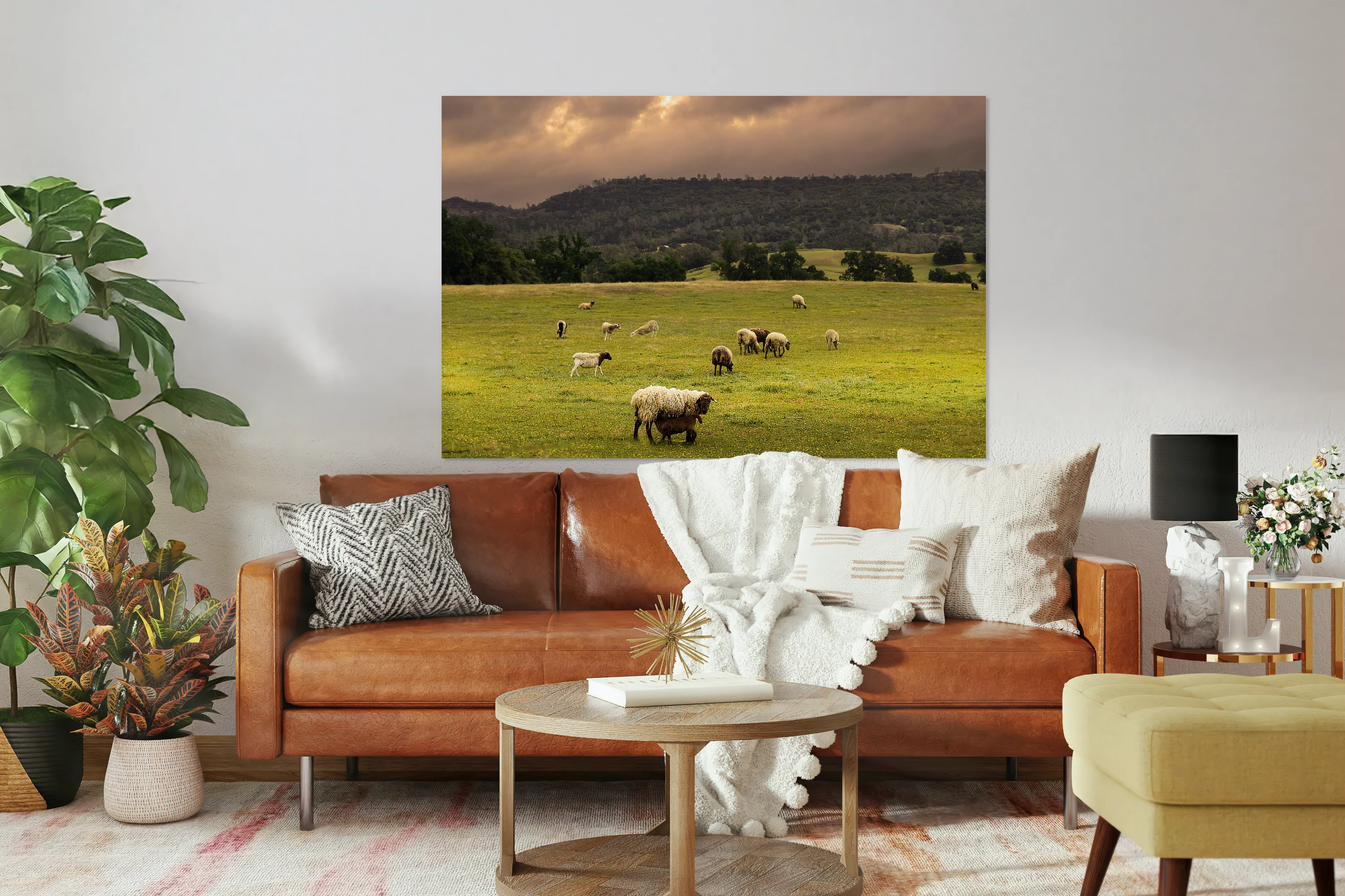 Grazing Sheep
