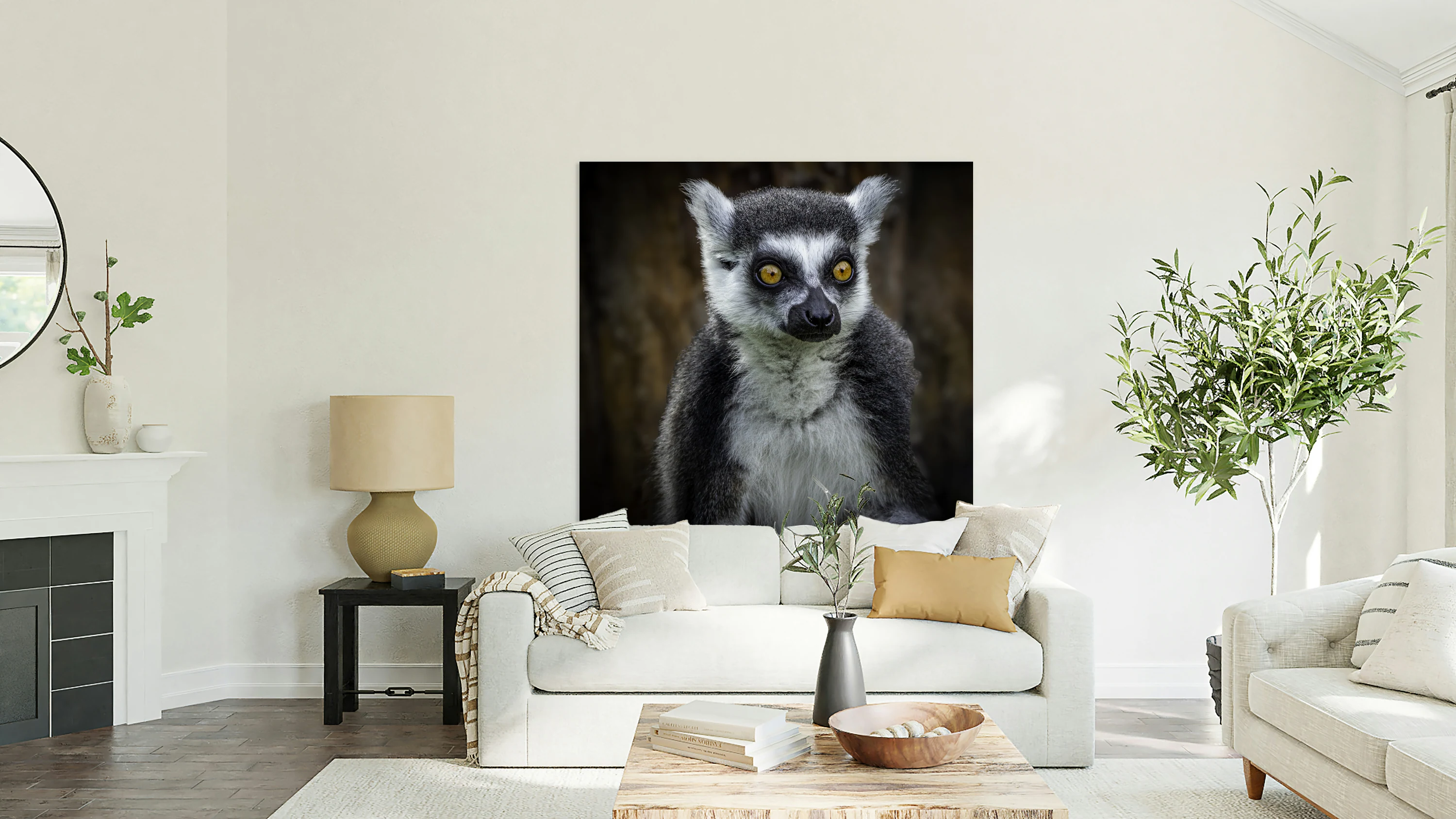 11162 Ring Tailed Lemur 