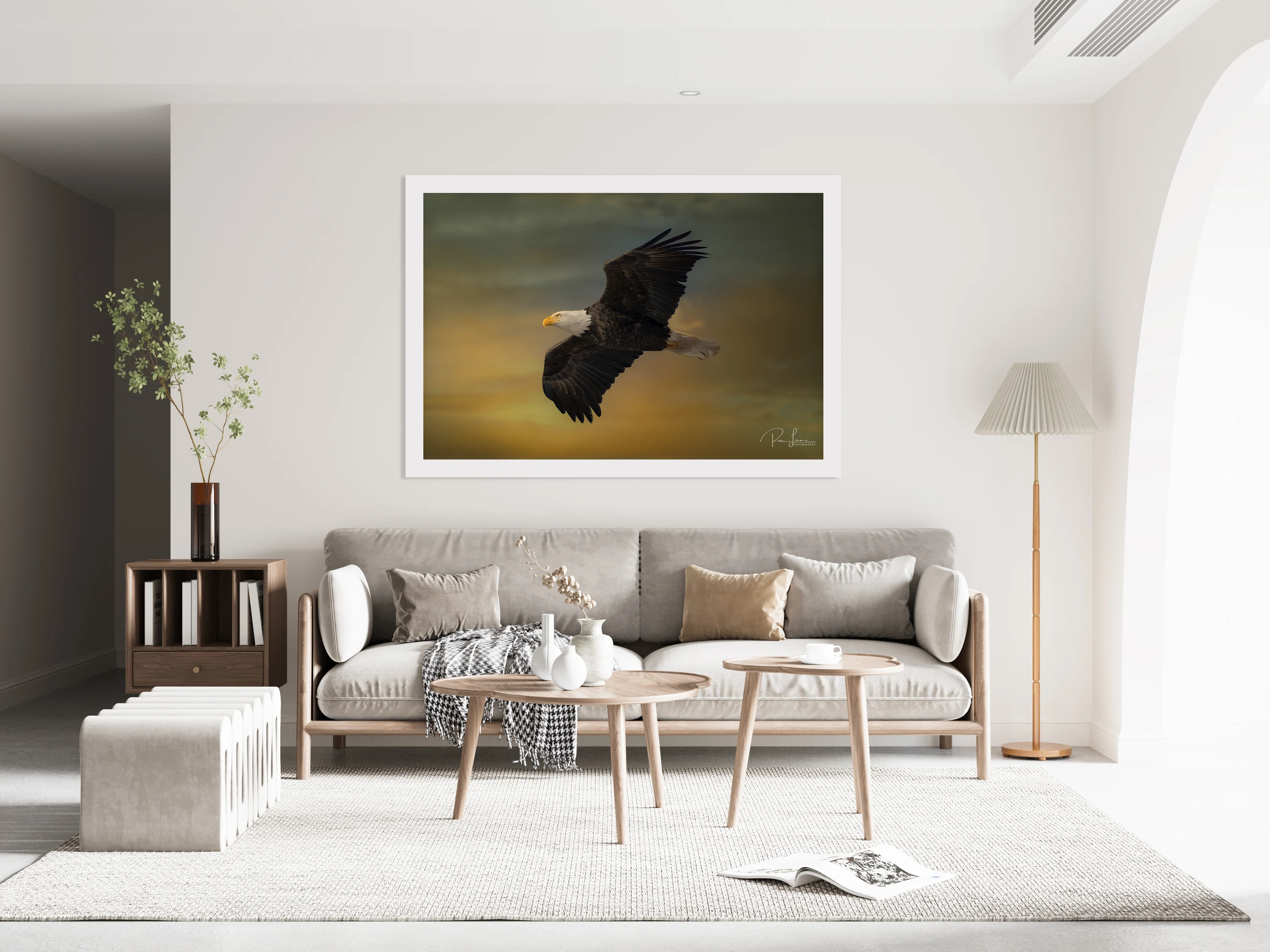 Barrachois Eagle