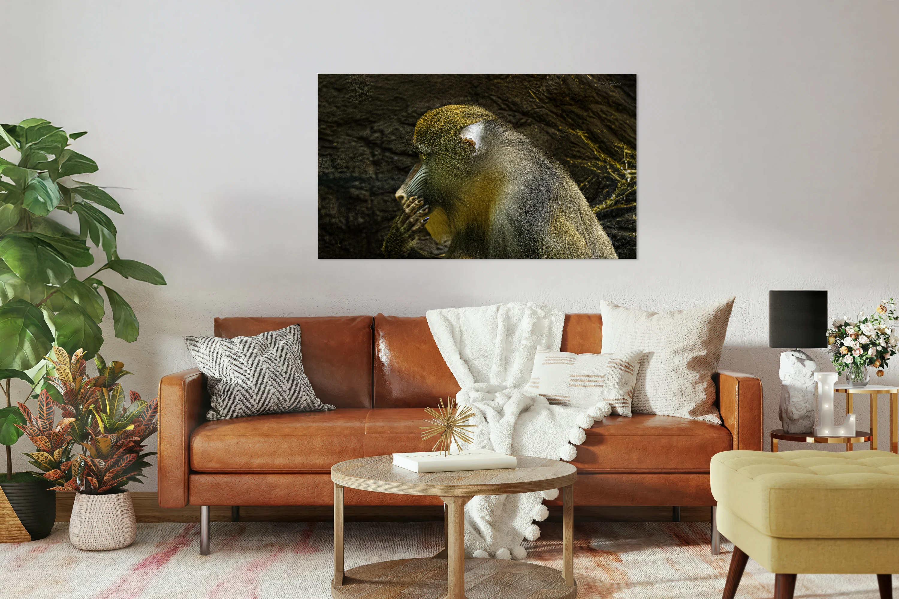11275 Mandrill Monkey Pensive