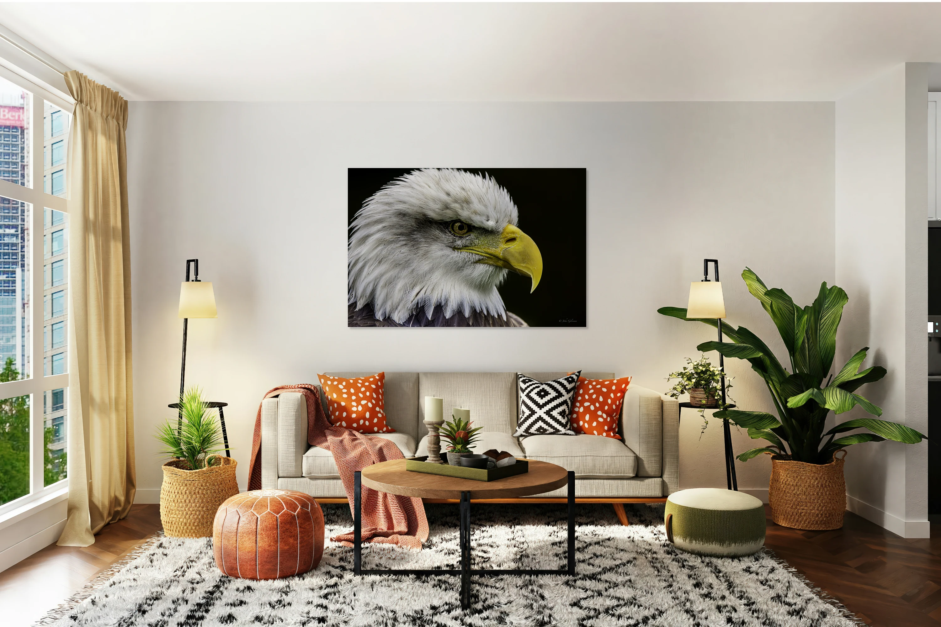 11463 Bald Eagle