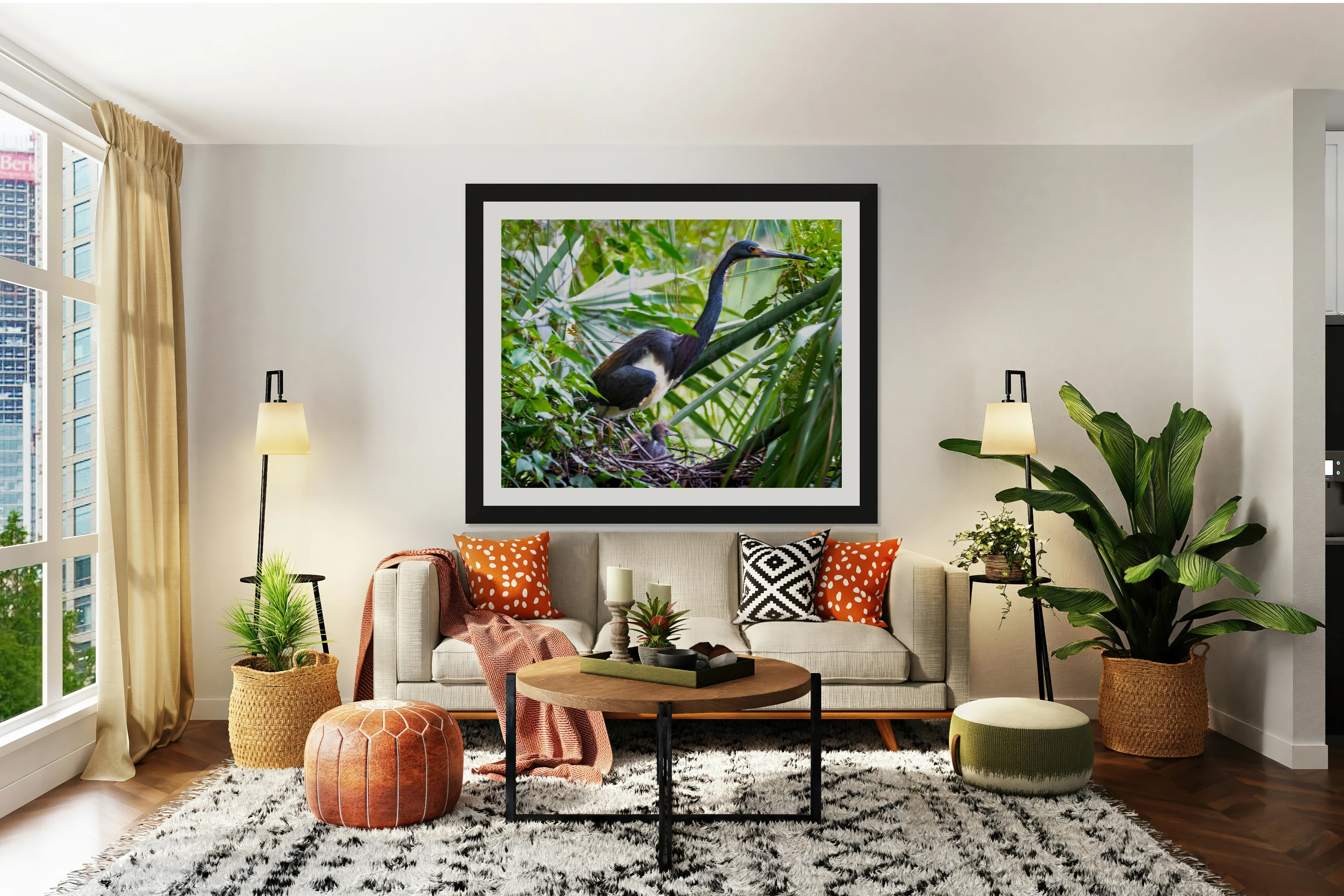 Tri-colored Heron Nesting