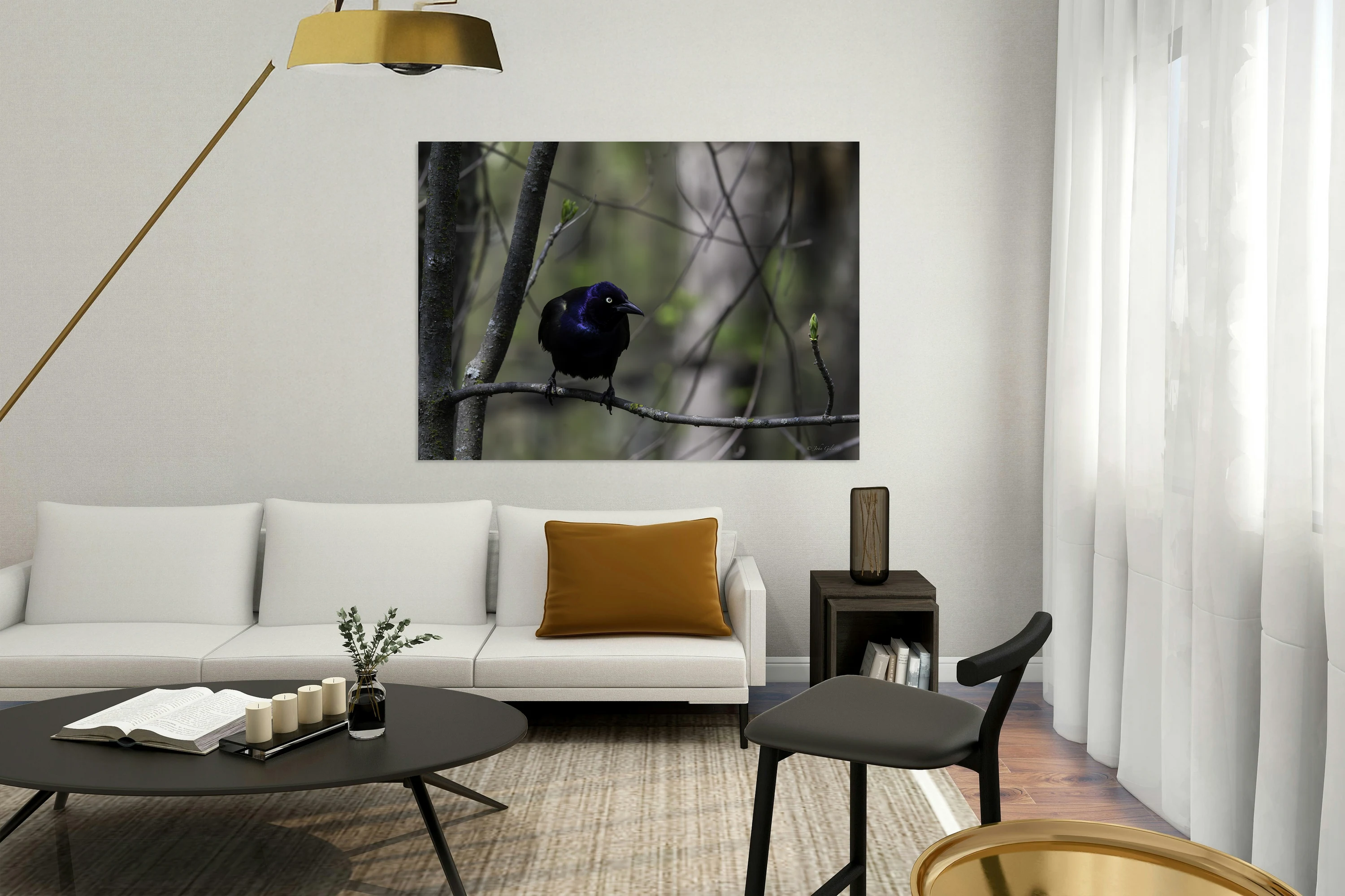 11440 Common Grackle