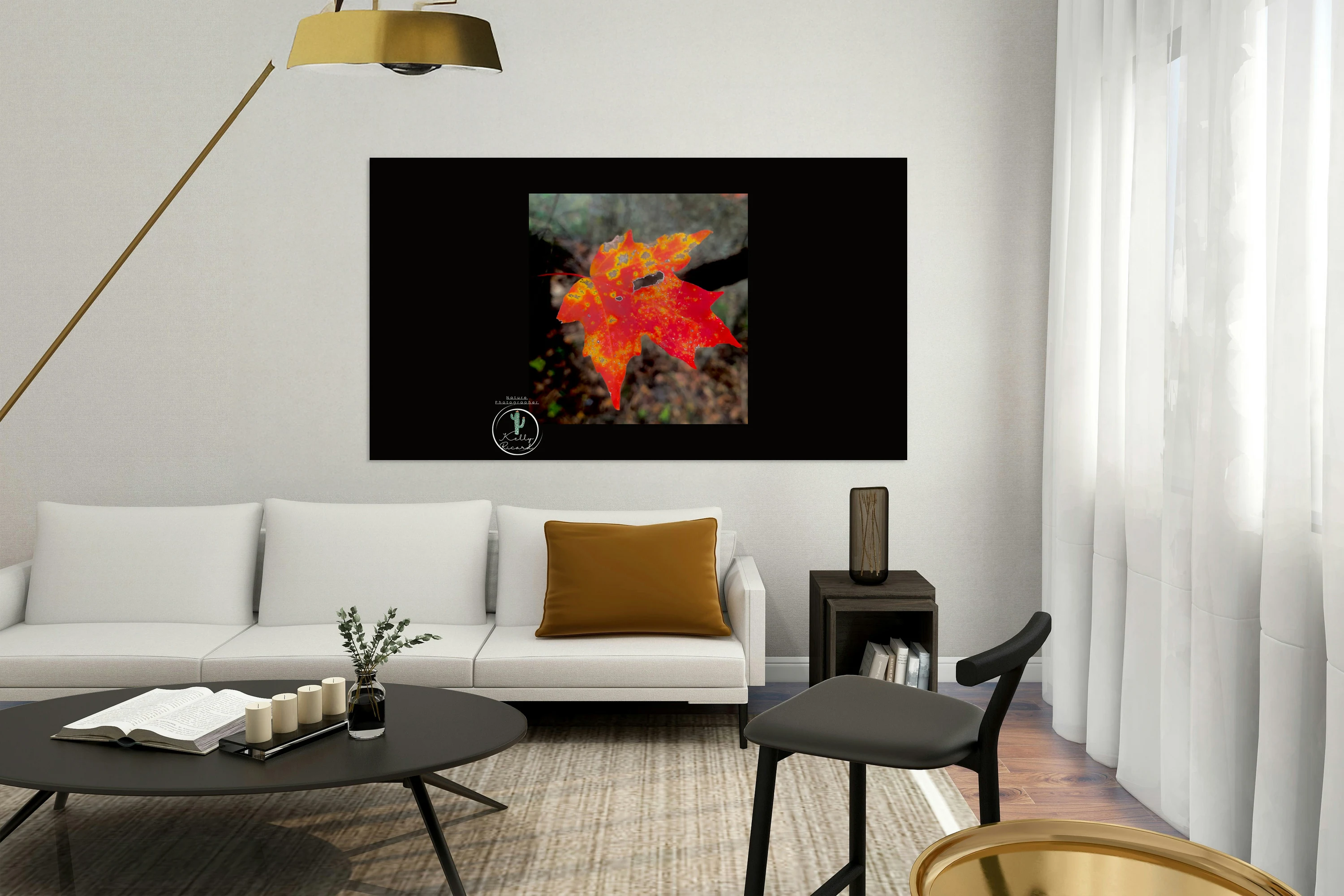 Red Maple Leaf Photograph Forest