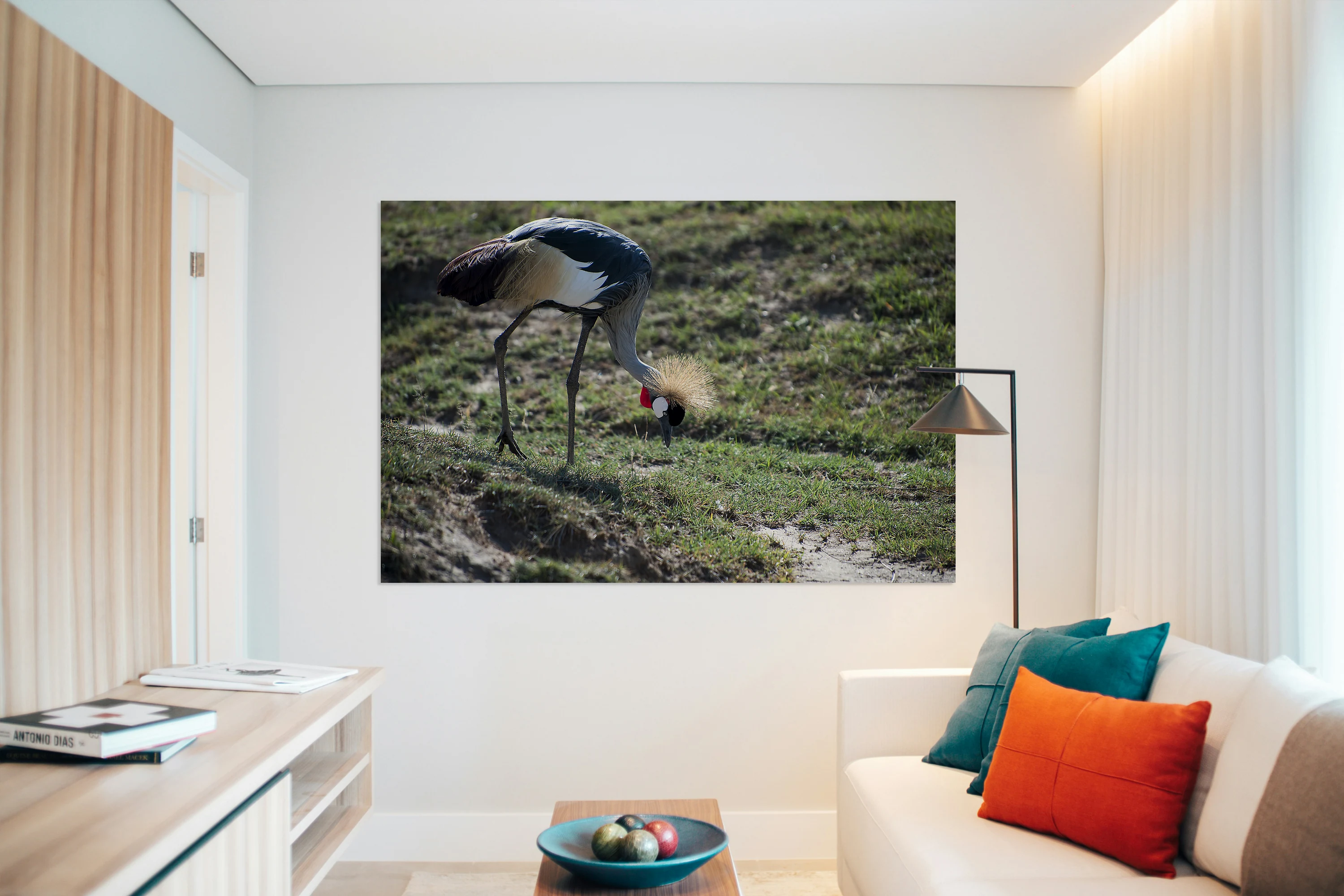 Crowned Crane